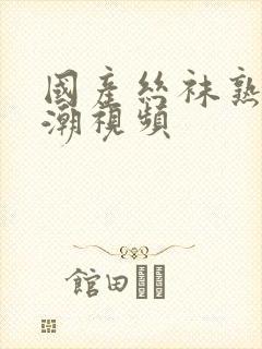 国产丝袜熟女高潮视频