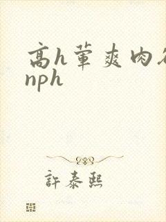 高h荤爽肉欲文nph