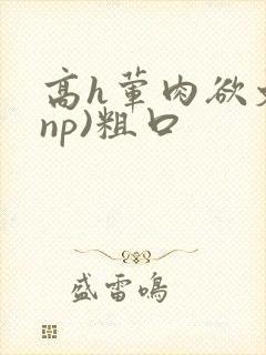 高h荤肉欲文(np)粗口