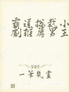 霸道总裁小型短剧推荐男主