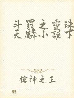 斗罗之灵珠神剑天麟小说下装电子书