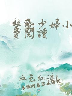 双飞少妇小说免费阅读