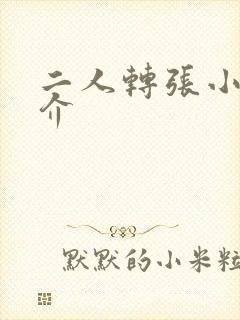 二人转张小飞简介