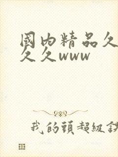 国内精品久久久久久www