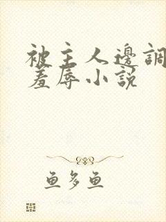 被主人边调教边羞辱小说