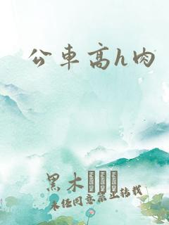 公车高h肉