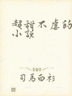 超甜不虐的言情小说