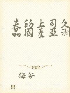 夫的上司久久精品国产亚洲av