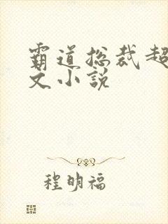 霸道总裁超甜宠文小说