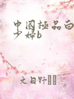 中国极品白嫩小少妇b
