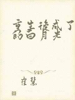 重生后成了权臣的白月光