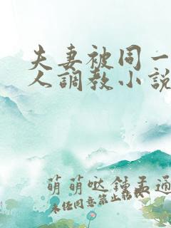 夫妻被同一个主人调教小说