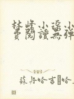 林峰小瑶小说免费阅读无弹窗