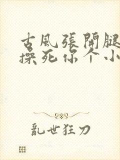 古风张开腿让我操死你个小骚货