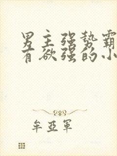 男主强势霸道占有欲强的小说