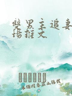 双男主追妻火葬场推文