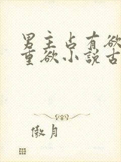 男主占有欲强且重欲小说古言