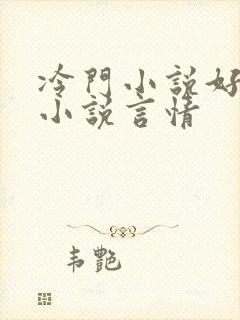 冷门小说好看的小说言情