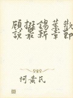 顾挺锡叶欢欢小说最新章节更新内容