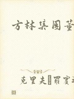 方林集团董事长