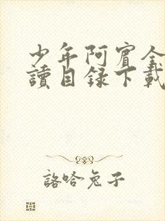 少年阿宾全文阅读目录下载