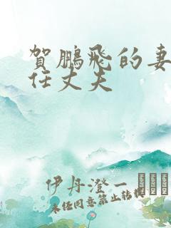 贺鹏飞的妻子现任丈夫