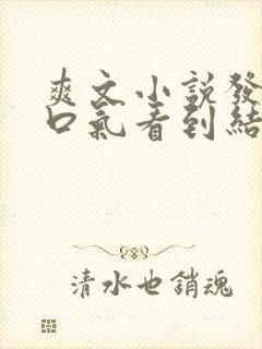 爽文小说发疯一口气看到结局