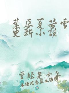 叶辰夏若雪最新更新小说
