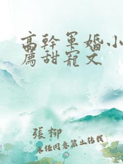 高干军婚小说推荐甜宠文