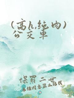 (高h,纯肉)公交车