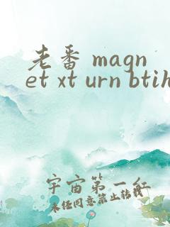 老番 magnet xt urn btih