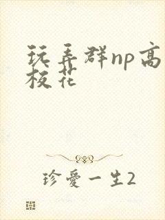 玩弄群np高h校花