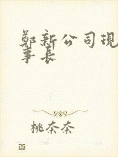 郑新公司现任董事长