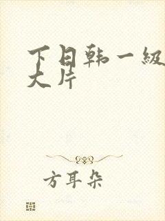 下日韩一级特黄大片