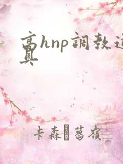 高hnp调教道具