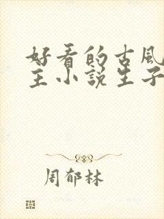 好看的古风双男主小说生子