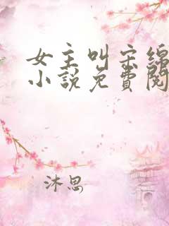 女主叫宋绵绵的小说免费阅读