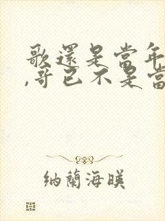 歌还是当年的歌,哥已不是当年的哥什么意思