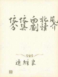 依依向北风剧情分集剧情介绍电视猫