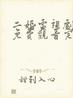 二婚电视剧全集免费观看完整版高清