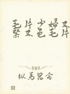 毛片少妇又深又紧又色毛片