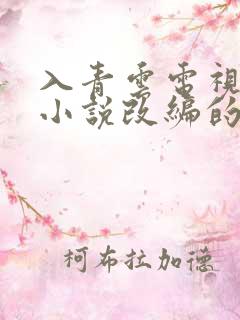 入青云电视剧是小说改编的吗