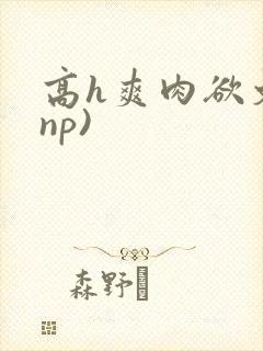 高h爽肉欲文(np)