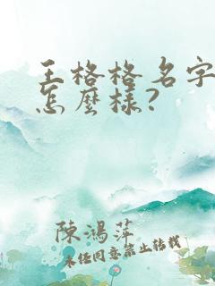 王格格名字起的怎么样?