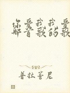 你爱我我爱你是哪首歌的歌词