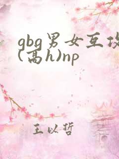 gbg男女互攻(高h)np