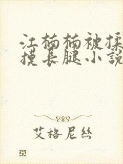 江楠楠被揉双乳摸长腿小说