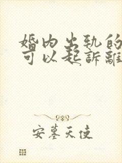 婚内出轨的一方可以起诉离婚吗