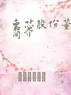 东芯股份董事长简介