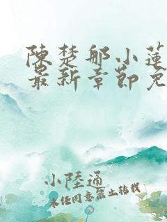 陈楚那小莲小说最新章节免费阅读